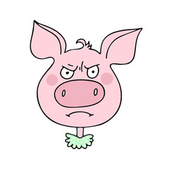 The cute pig has a angry expression
