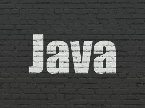 Database concept: Painted white text Java on Black Brick wall background