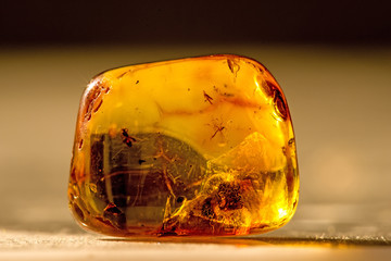 Amber in sun with inclusions