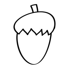 Fototapeta premium acorn nut fruit food natural icon vector illustration outline design