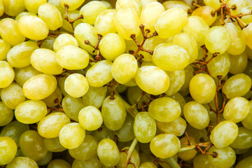 Image from above of green grapes.