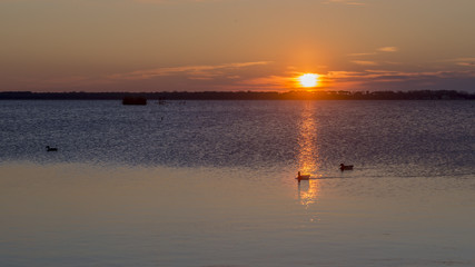 Obraz premium Spectacular sunset over the Lake of Massaciuccoli, Lucca, Tuscany, Italy