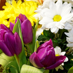 Bouquet. Beautiful white yellow violet flowers