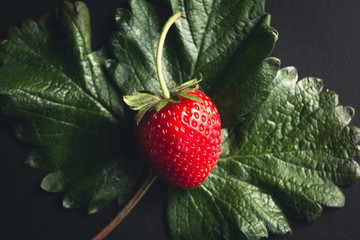 Strawberry red color, black background