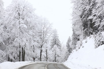 geräumte Straße im vereisten Wald im tiefsten Winter