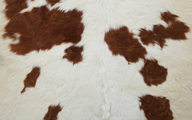 Fur of the cow natural material

