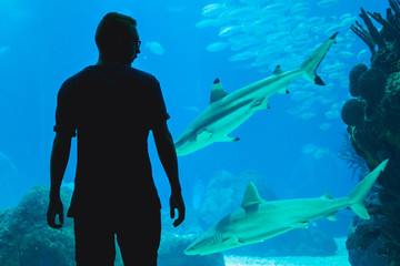 Man watching fish through the glass in Oceanarium