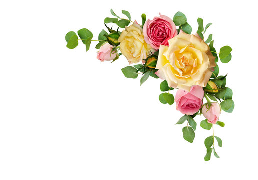 Fototapeta Pink and yellow rose flowers with eucalyptus leaves in a corner arrangement