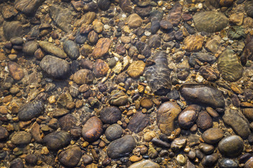 Nature concept background, Stone under clear water river at stone beach