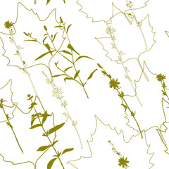 Summer flowers, herbs and leaves floral vector seamless pattern. Realistic botanical background with hand drawn chicory flowers, maple leaves and herbal grasses.