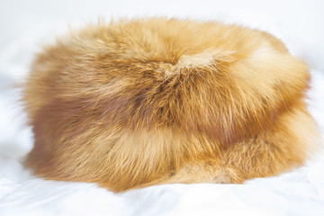 Red fox fur hat from Russia