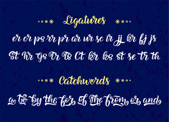 Fototapeta premium Hand drawn typeface. Brush painted letters. Handwritten script alphabet isolated on white background. Handmade alphabet for your designs logo, posters, invitations, cards, etc.