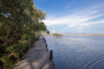 Obraz premium bridge to the sea beside mangrove jungle and blue sky