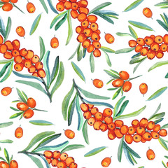 Sea buckthorn branch with ripe berries, berries and leaves, seamless pattern design, hand painted watercolor illustration, white background