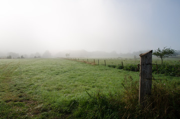 Vallée de la Meuse, Ardennes