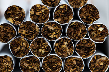 Close-up of Tobacco Cigarettes Background or texture