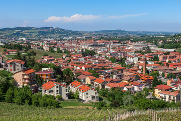 Fototapeta na wymiar Vineyards and town of Alba, Italy.