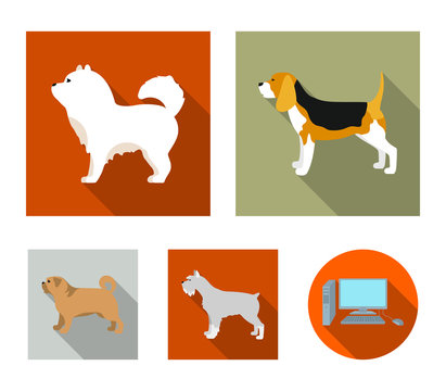 Chau chau, levawa, schnauzer, pug.Dog breeds set collection icons in flat style vector symbol stock illustration web.