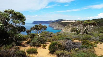 Fototapeta na wymiar Kangaroo Island, Australia