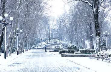  park in winter