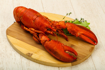 Lobster