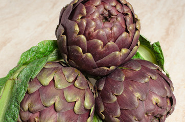 Obraz premium carciofi