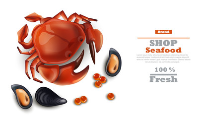 Crab and mussels Vector realistic on white background. Seafood template organic naturals