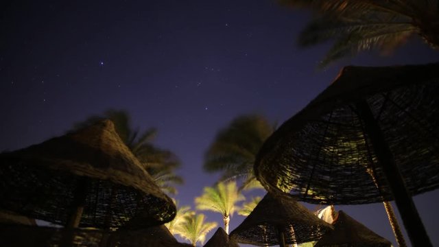 Timelapse of palm trees in night beach resort, constellation of Orion