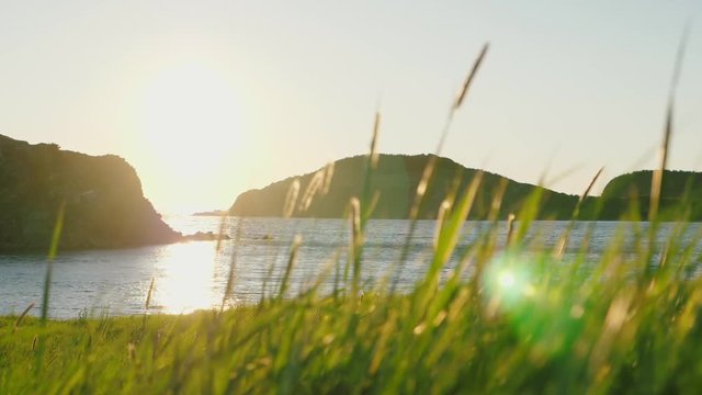 Slow motion shot of grass in wind and ocean harbor with sunset