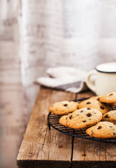 Homemade freshly baked chocolate chips cookies