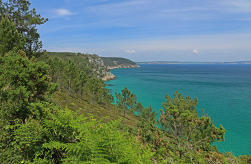 Küstenlandschaft mit Wald, Bretagne, Frankreich