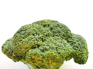 Branch of fresh tasty green broccoli cabbage, Broccoli isolated on white background.