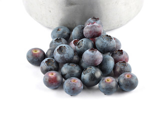 Kulturheidelbeere mit Blecheimer auf weiss