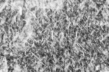snow falls from the sky in front of sunlight in winter