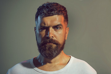 Portrait of bearded man face with stylish hairstyle in white shirt. Confidence and success. Sexy...