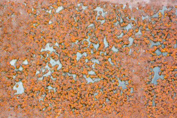 Old yellow rusty metal surface grunge background