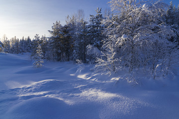 Fototapeta na wymiar the winter in swedish Lapland