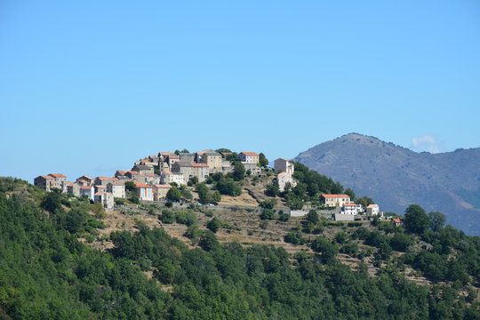 Corse, Poggio di Venaco.