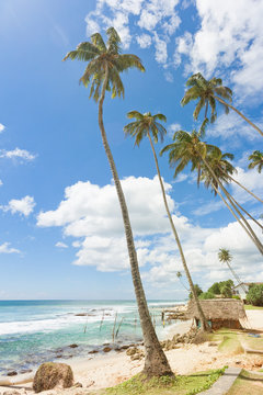 Koggala Beach, Sri Lanka - A small traditional house within palm trees at Koggala Beach