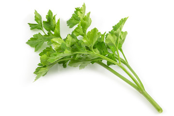 Fresh green parsley, herbs isolated on a white background with a clipping path.