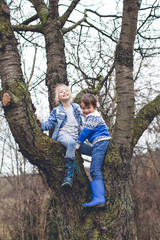 Naklejka na ściany i meble brother and sister climbing tree