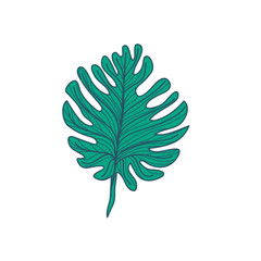 Lobed Tropical Leaf Hand Drawn Illustration