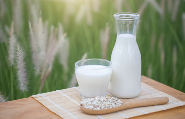 Pouring milk in the glass on the background of nature.
