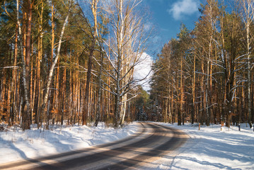 Kręta droga przez las zimą © Waldek Pietrzak