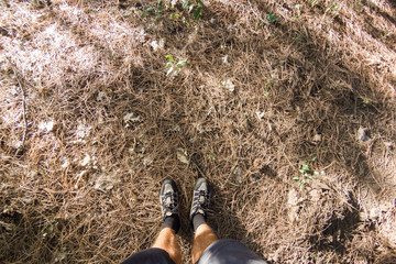 Legs in sneakers in a forest on the ground strewn with dry pine needles. Top view. Leave space for your content