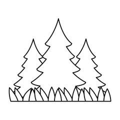 Fototapeta premium pine forest scene icon vector illustration design