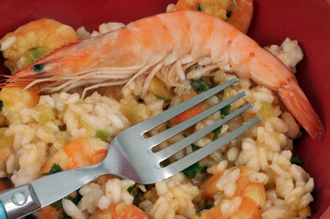 Risotto aux crevettes
