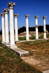Fototapeta premium The ancient temple on the Asklipeio of Kos island, Dodecanese islands, Greece.