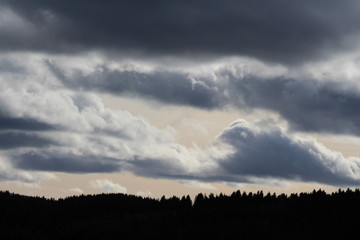 Obraz premium Du vrai au faux