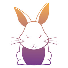 Cute rabbit icon 